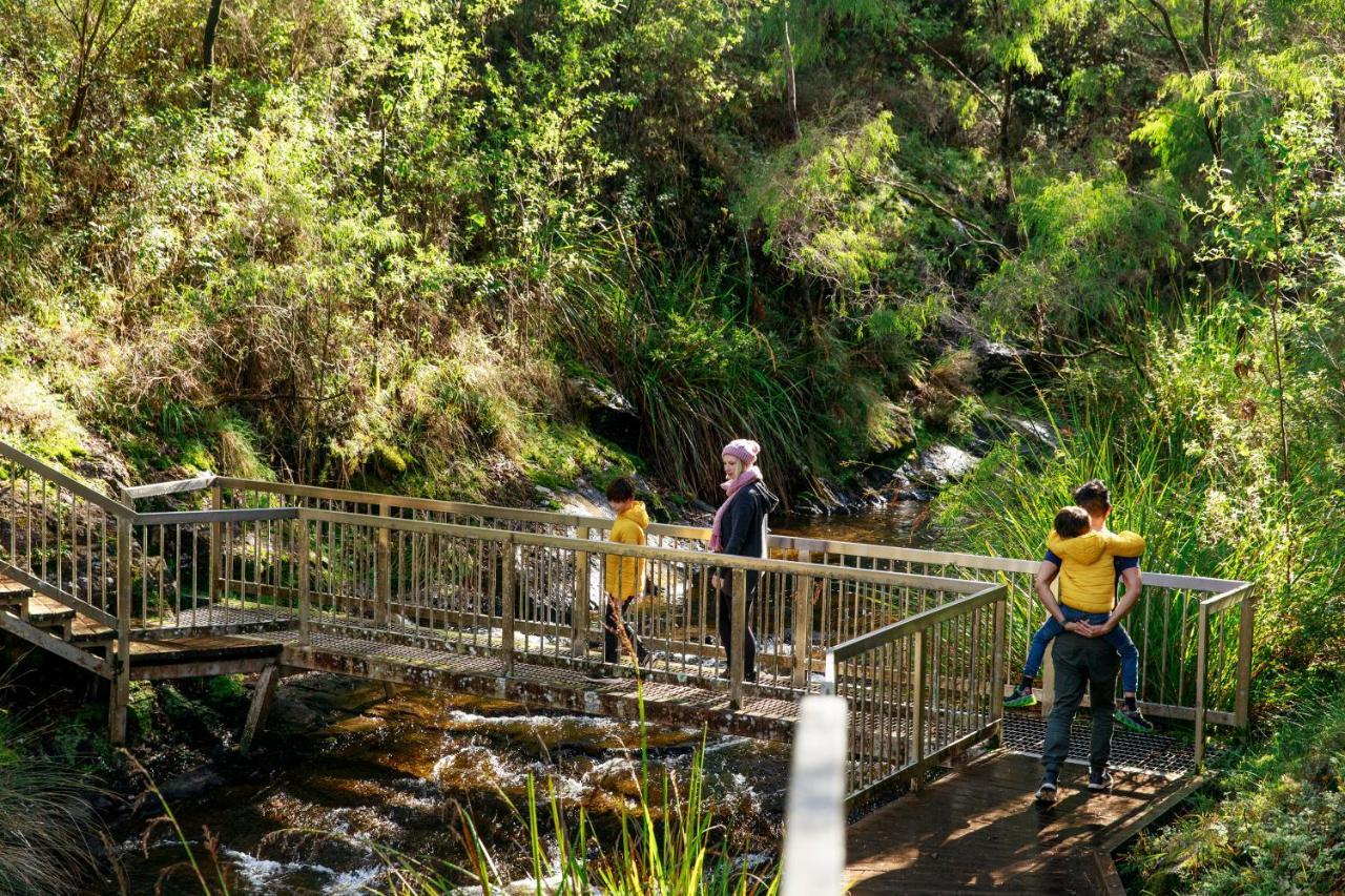 Rac Karri Valley Resort Pemberton Εξωτερικό φωτογραφία